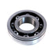 BEARING OUTPUT- 50 & 65